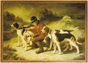 Les différentes races de chiens courants