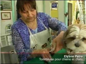Vido sur la coupe des griffes des chiens