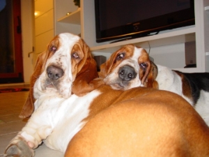 Doc et Doogy de Betty Deman