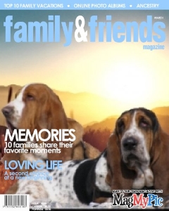 nos basset hound faisant la Une