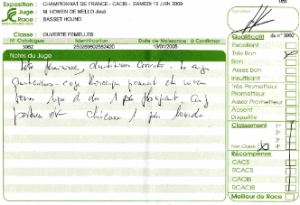 Commentaires des juges sur Allumette