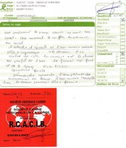 Commentaires du Juge au CACIB d Ajaccio 2010
