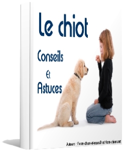 Cliquez pour consulter des conseils et astuces sur le chiot